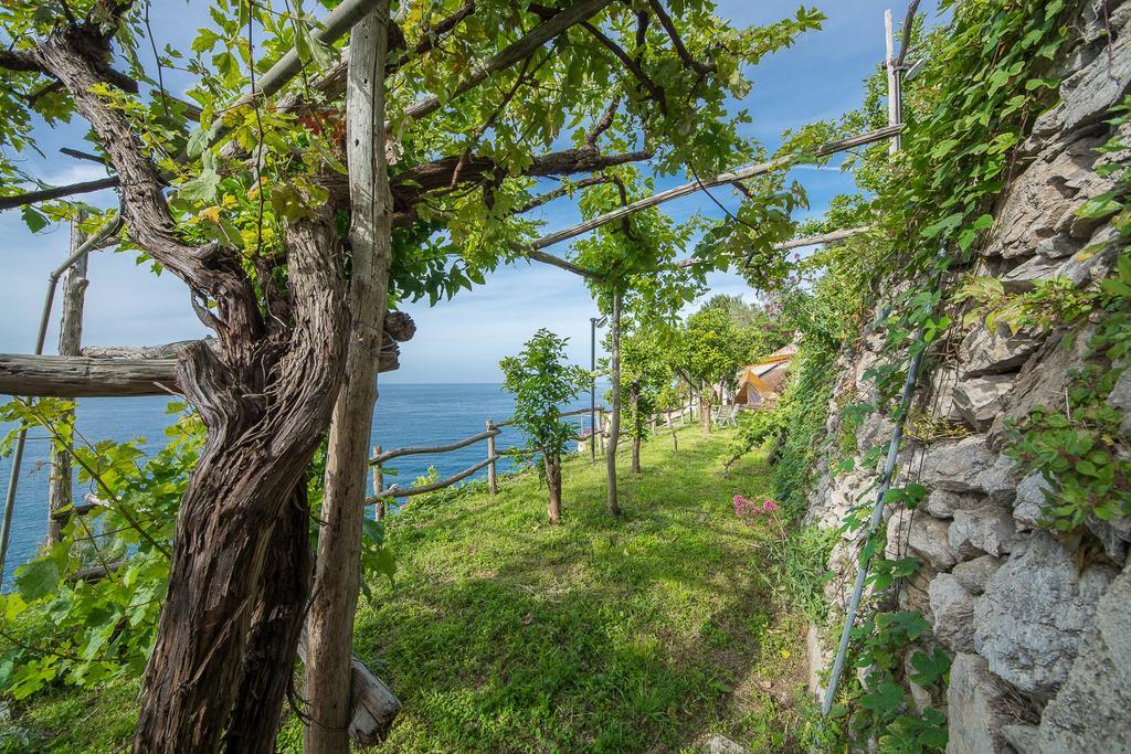 Cannaverde - Amalfi Coast Camp&Room Maiori Exterior foto
